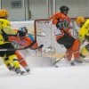 IMG 7160