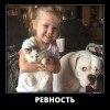 Ревность