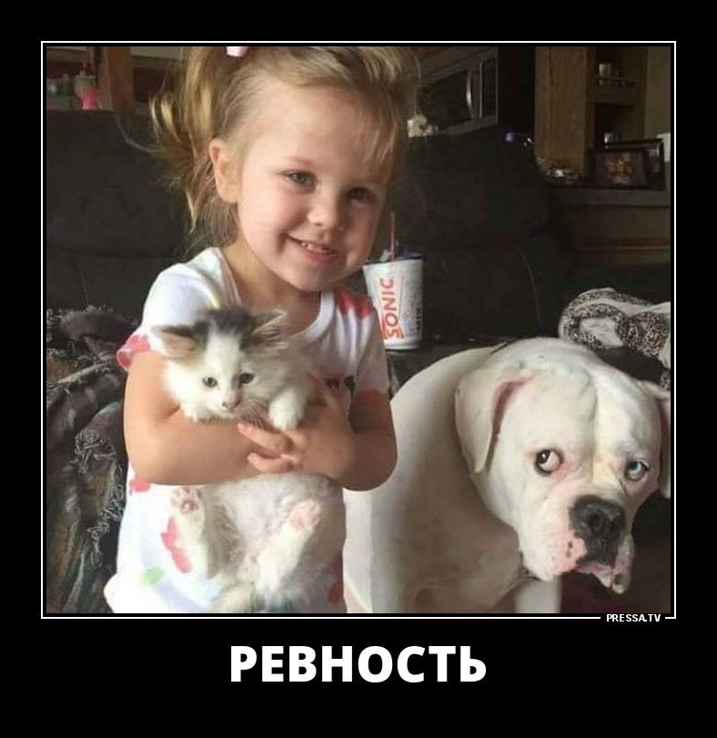Ревность