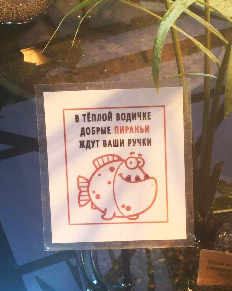 Пираньи