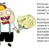 Школота