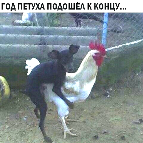 конец года))))))