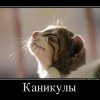 Каникулы