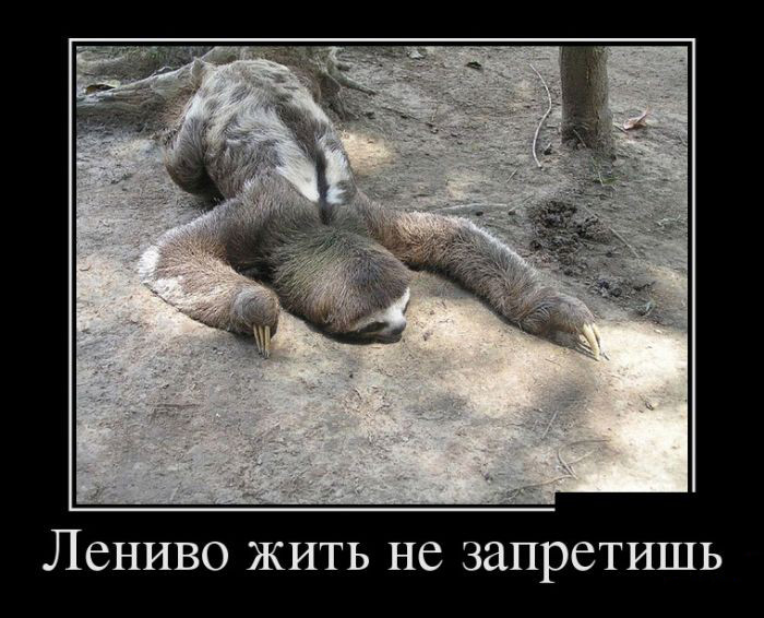 Лениво жить