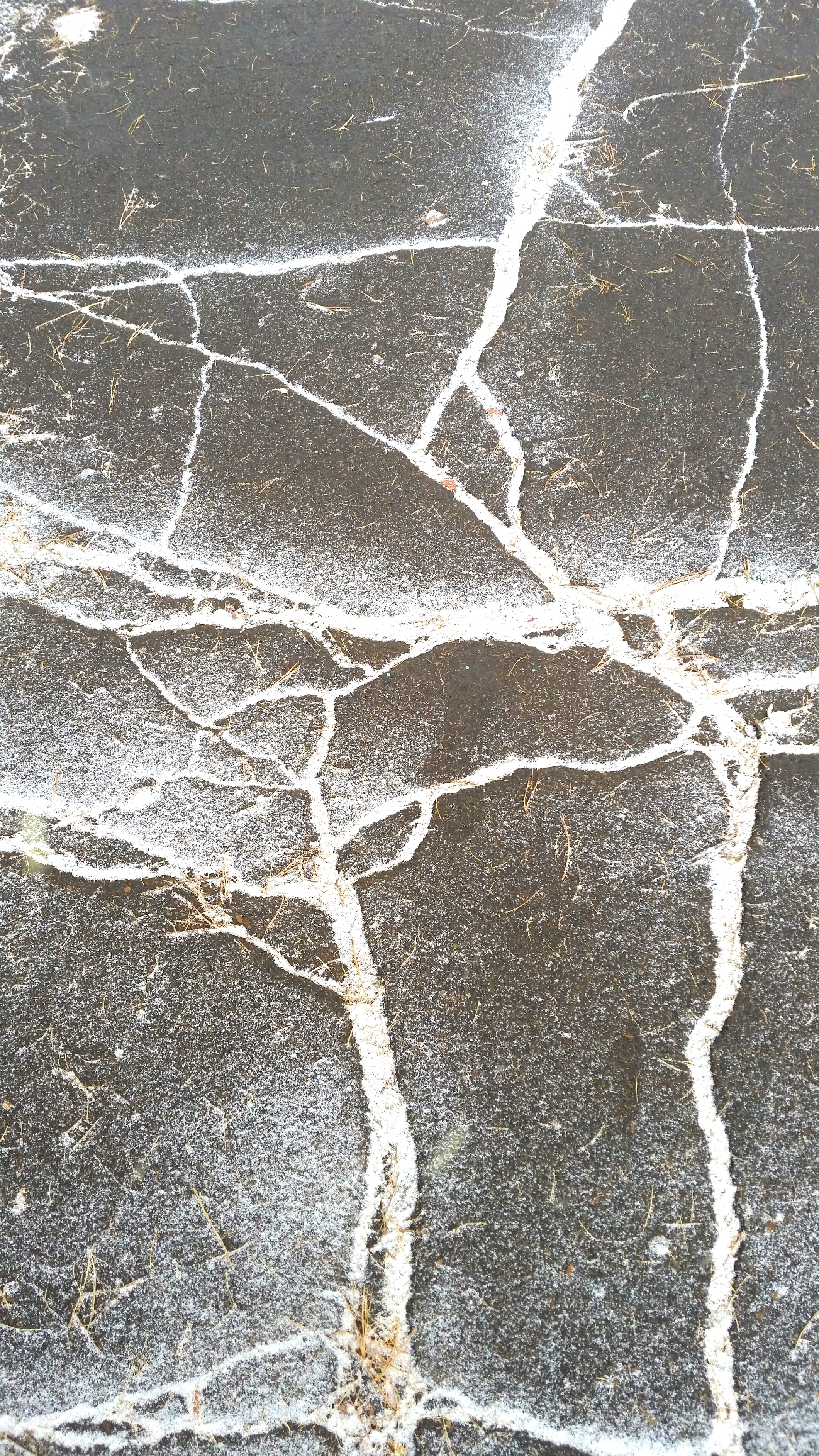 ангарский асфальт в октябре