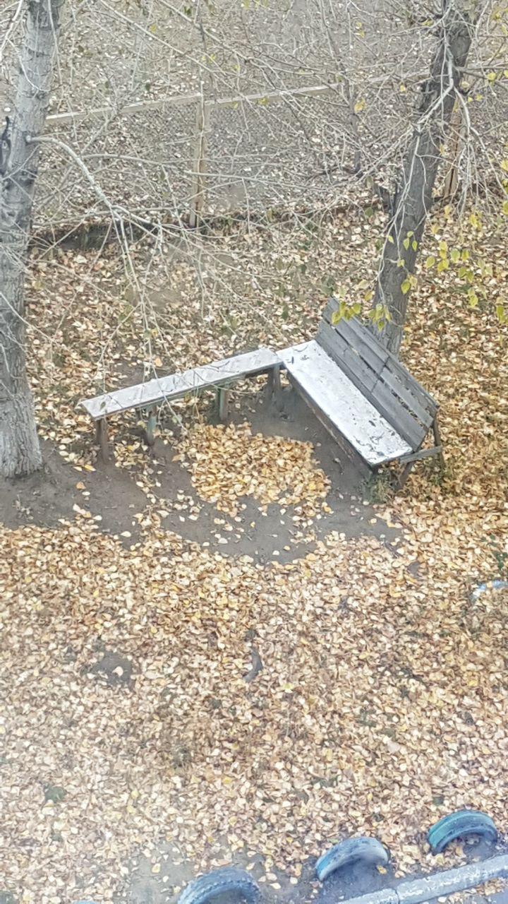 Лавочки_любимые с камеечки