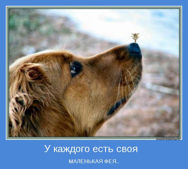 У каждого есть своя фея