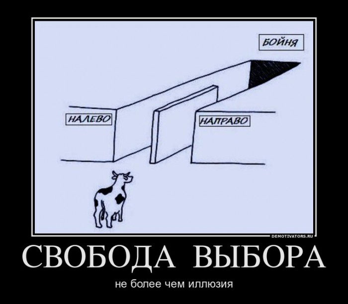 Свобода выбора