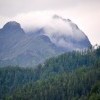 DSC 1406