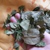 листья коки