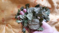 листья коки листья коки
