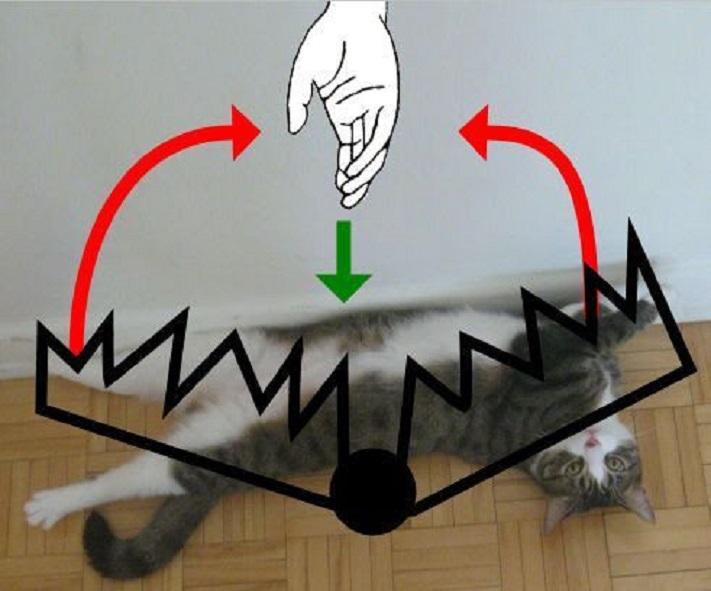 Котэ