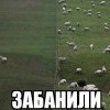 забанили забанили