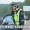 разрешиде узбагоить)))) разрешиде узбагоить))))