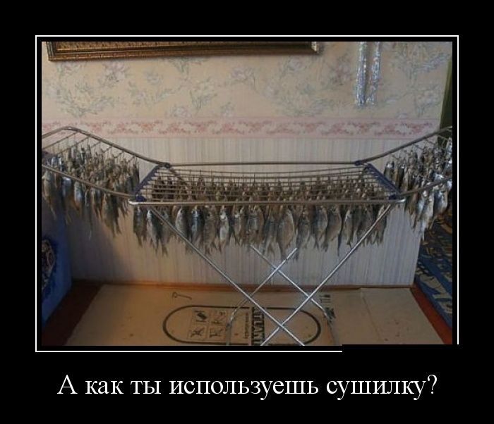 Польза сушилки