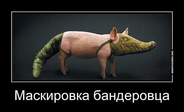 боевой конь бени