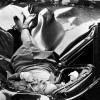 Самоубийство с шиком: 23-летняя Эвелин МакХэйл выпрыгнула с 83-го этажа Эмпайр-Стейт-Билдинг и приземлилась на лимузин одного из Самоубийство с шиком: 23-летняя Эвелин МакХэйл выпрыгнула с 83-го этажа Эмпайр-Стейт-Билдинг и приземлилась на лимузин одного из