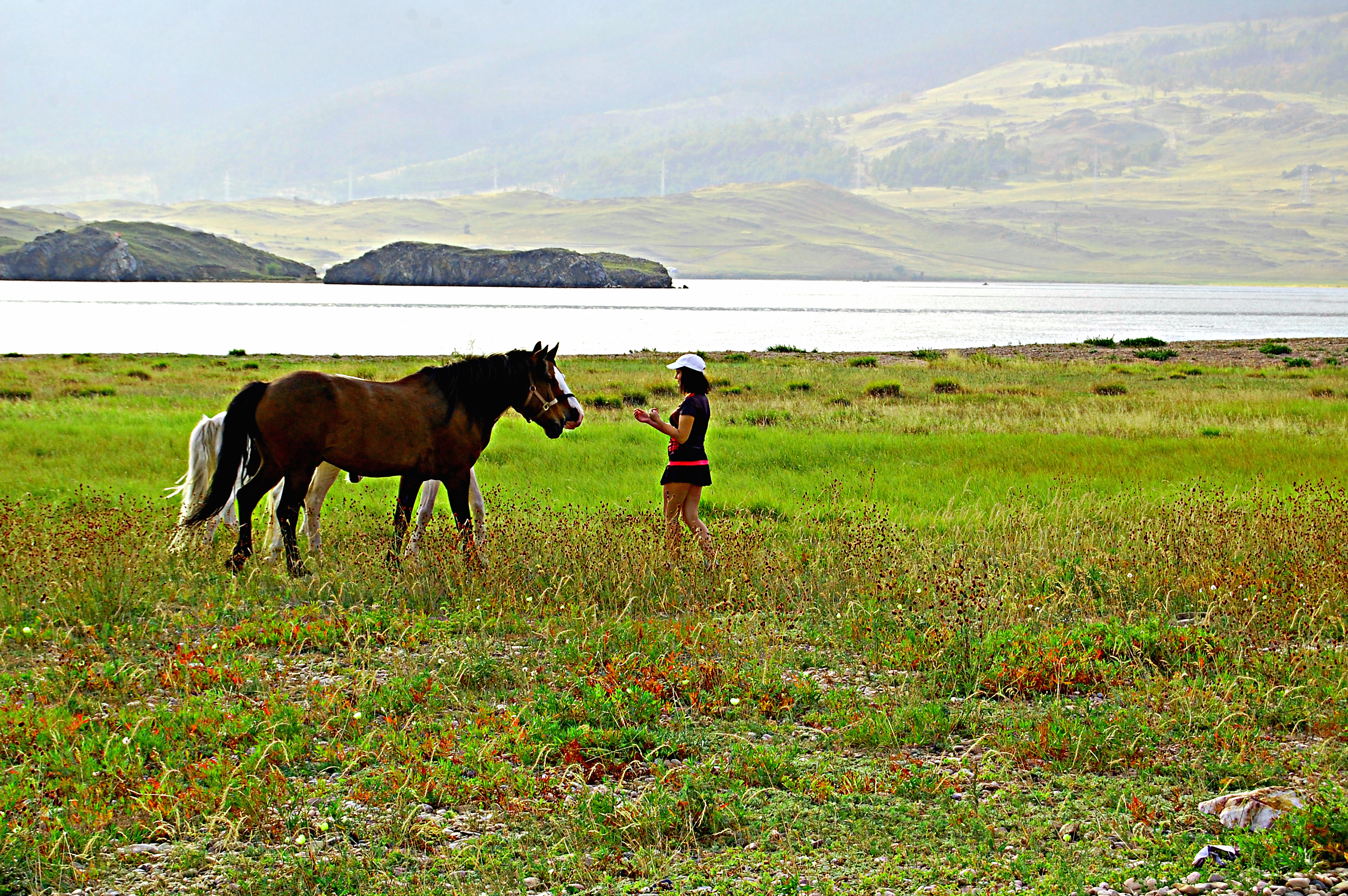 Всё смешалось: люди, кони...