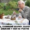 Белочка у дедушки Белочка у дедушки