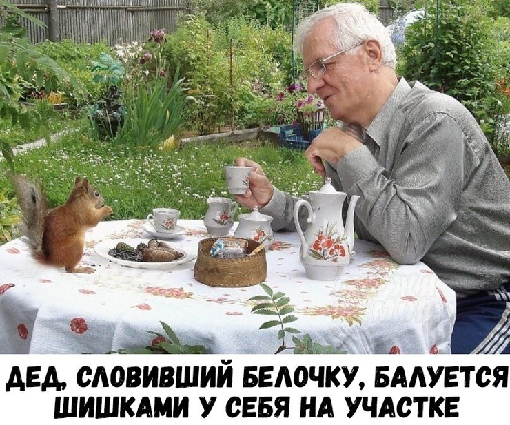 Белочка у дедушки