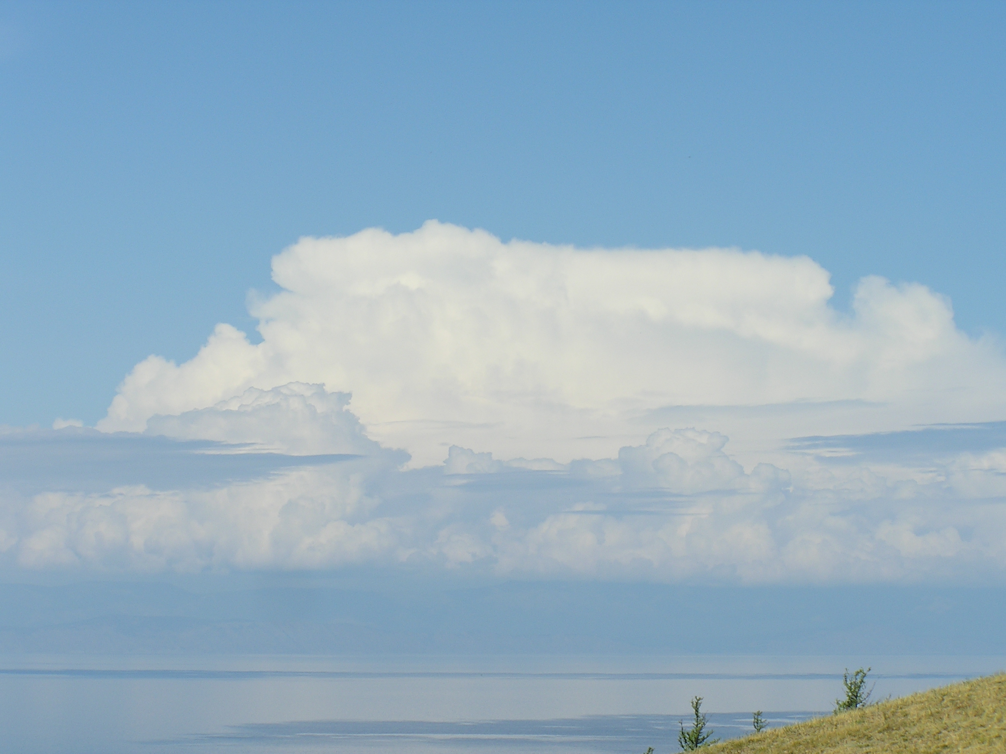 Для ценителя!))))))))))))))