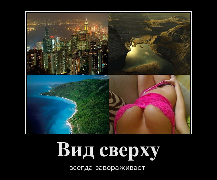 Вид-сверху