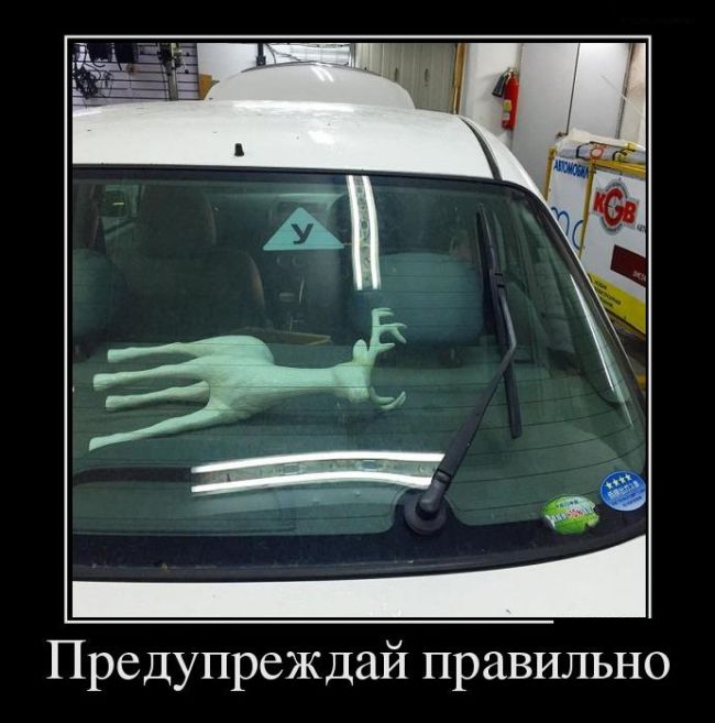 Предупреждение
