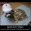 богатство