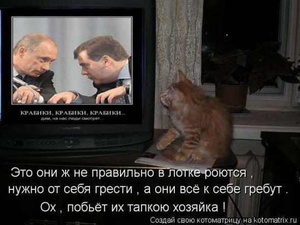 92d7d95d954e9092c9a46f99801 prev