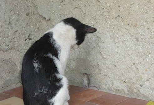 не бей меня