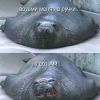 ыыыыыыы)))) ыыыыыыы))))