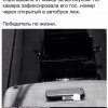 Победитель по жизни Победитель по жизни