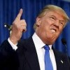Трамп Трамп