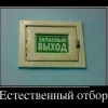 Естественный отбор