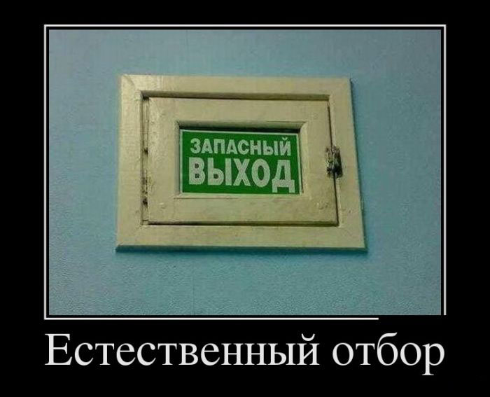Естественный отбор