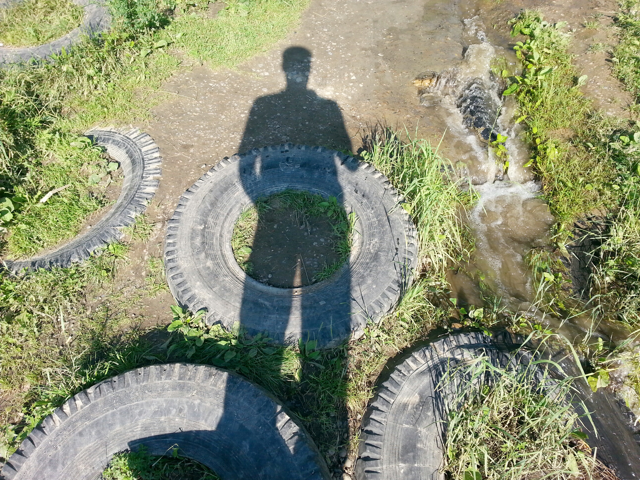 Сирёгина калёсная тень))))))