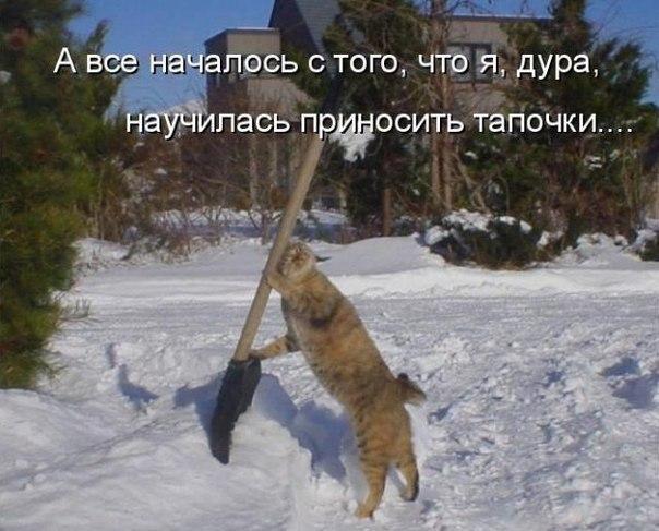 ))