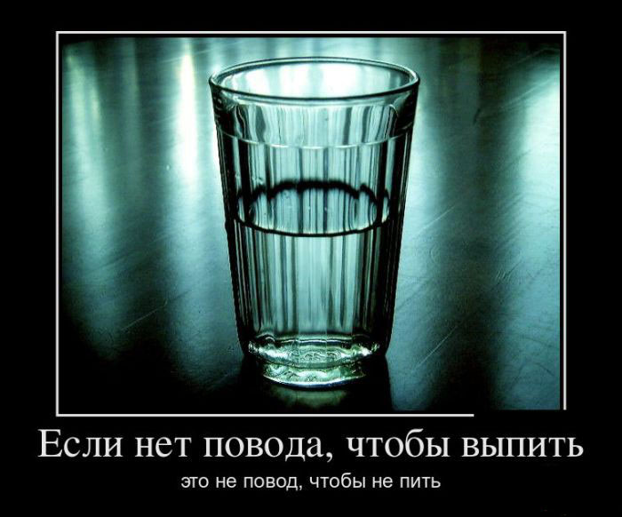 Повод