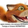 Нерв Нерв