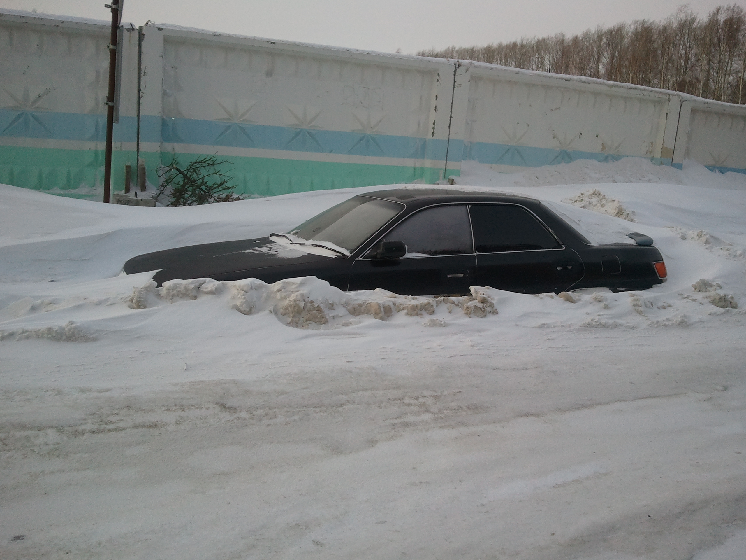 Природное противоугонное устройство