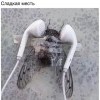 Месть