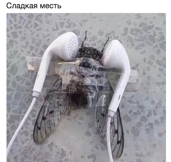 Месть