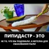 Пипидастр