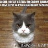 Барсик Барсик