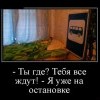 На остановке