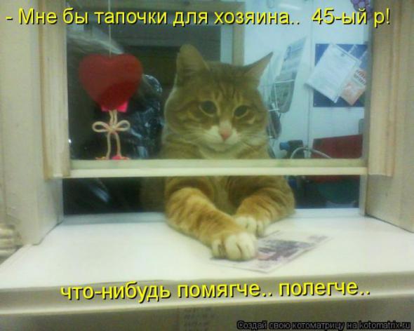 6e4113ced6a1091e2cf87bcb349 prev