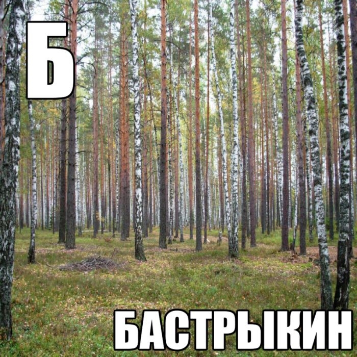 Б1