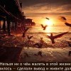 Сделали вывод,и живите дальше