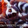ды проздо козмоз)))))) ды проздо козмоз))))))