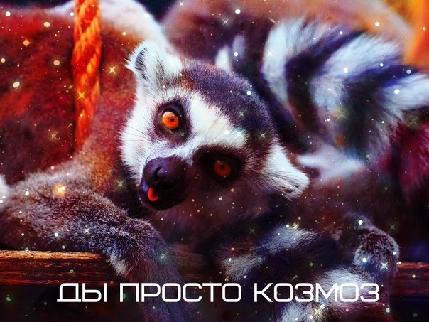 ды проздо козмоз))))))